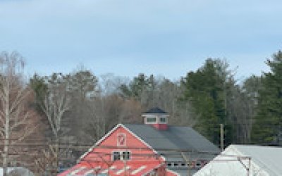 IMG_0596