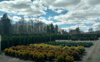 IMG_20190424_130901524_HDR